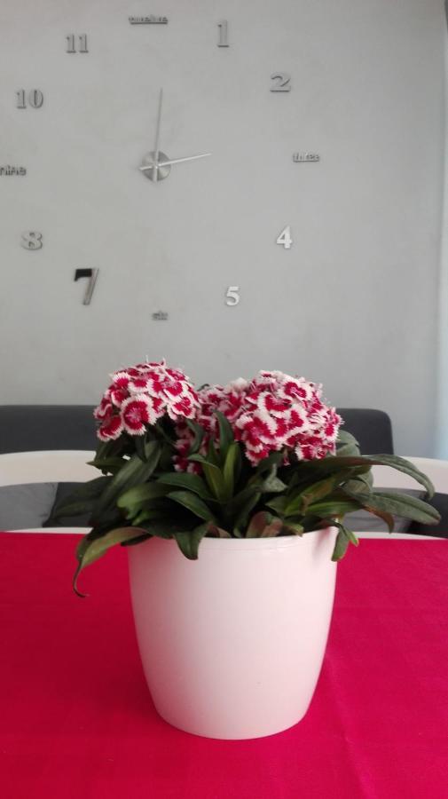 San Giovanni Gemini Sweety House B&B 외부 사진